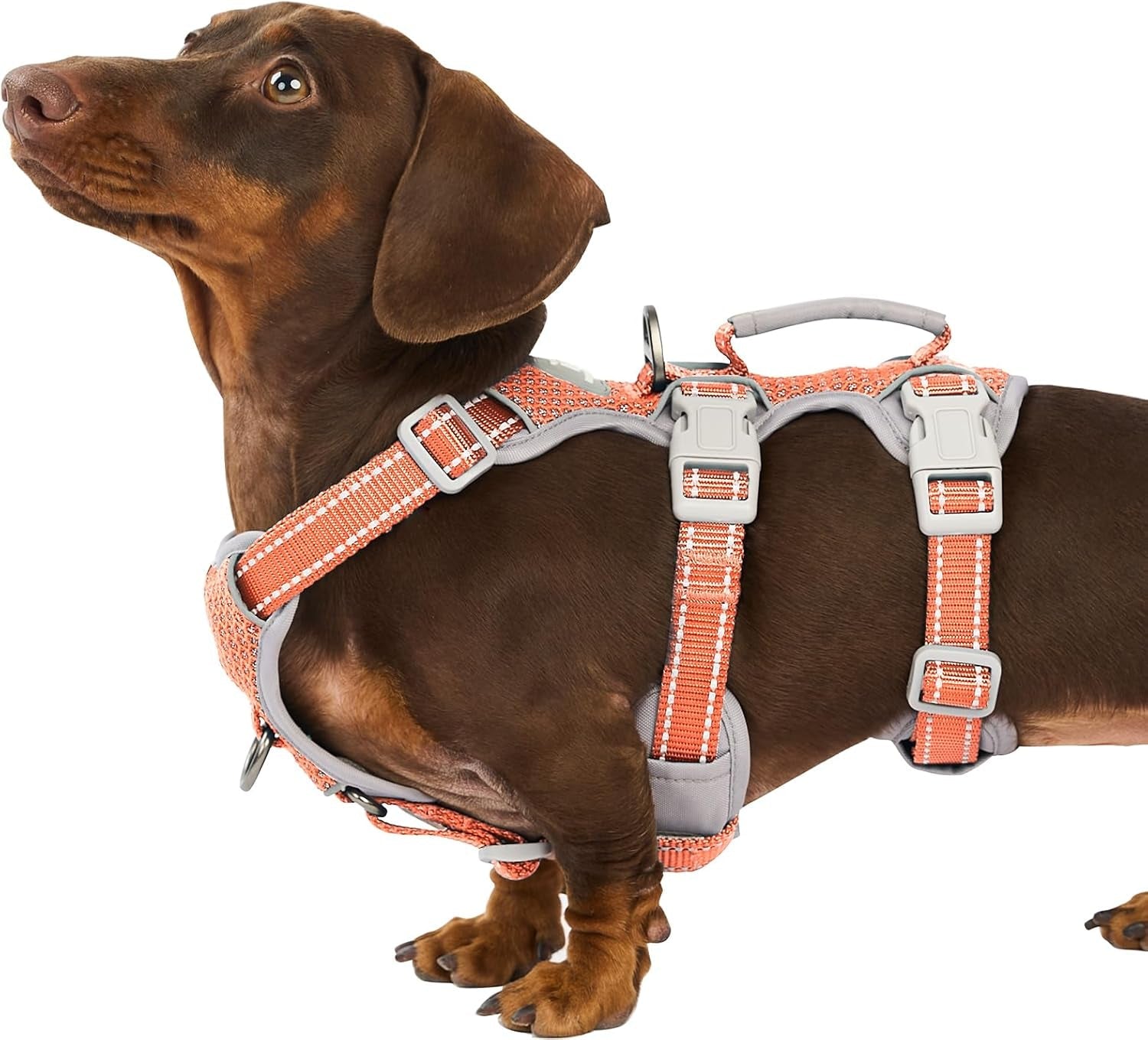 huntboo-escape-proof-harness-no-slip-dog-harness-escape-proof-fully-reflective-harness-with-handle-breathable-durable-adjustable-vest-for-medium-dogs-walking-and-training-gear-black-m