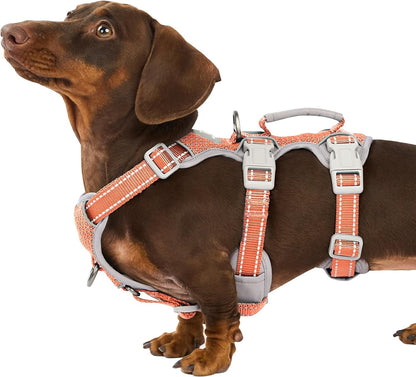 Huntboo Escape Proof Harness, No Slip Dog Harness Escape Proof, Fully Reflective Harness with Handle, Breathable, Durable, Adjustable Vest for Medium Dogs Walking and Training Gear (Black, M)27