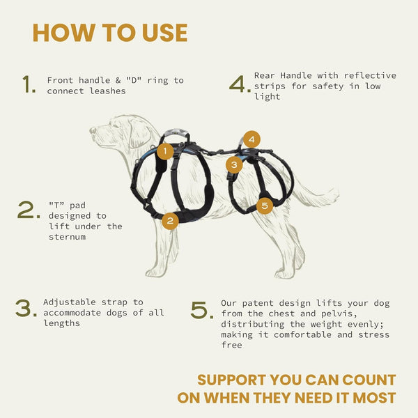 Help 'Em Up® - Dog Lift Harness│ Adjustable Lifting Harness for Dogs │ Full Body Support, Rear Leg Support (Conventional, Medium, 45-80 Lbs)3