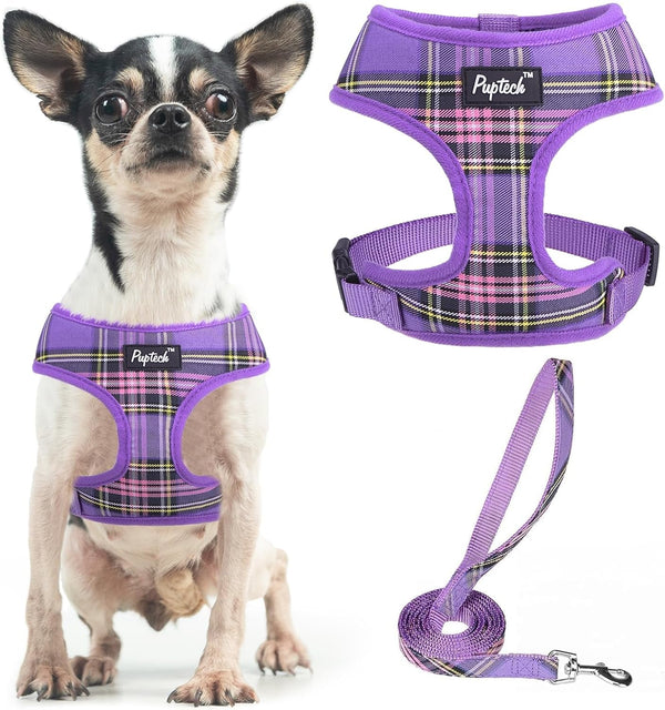 PUPTECK Soft Mesh Dog Harness Small Sized and Leash Set Pet Puppy Cat Comfort Padded Vest No Pull Harnesses, Beige, S84