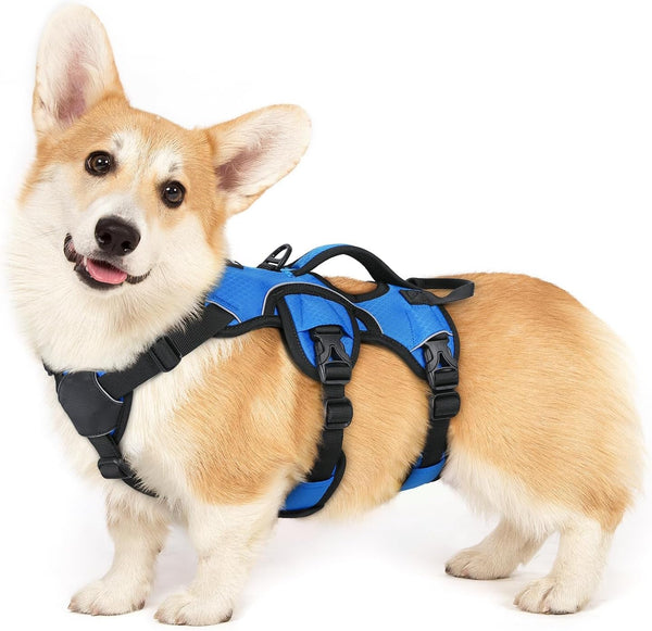 Rabbitgoo Escape Proof Dog Harness for Large, No Pull with Lift Handle | No Escape, Full Soft Padded, Reflective Adjustable Vest, Leash Clip for Walking Hiking Training, Black, Large14