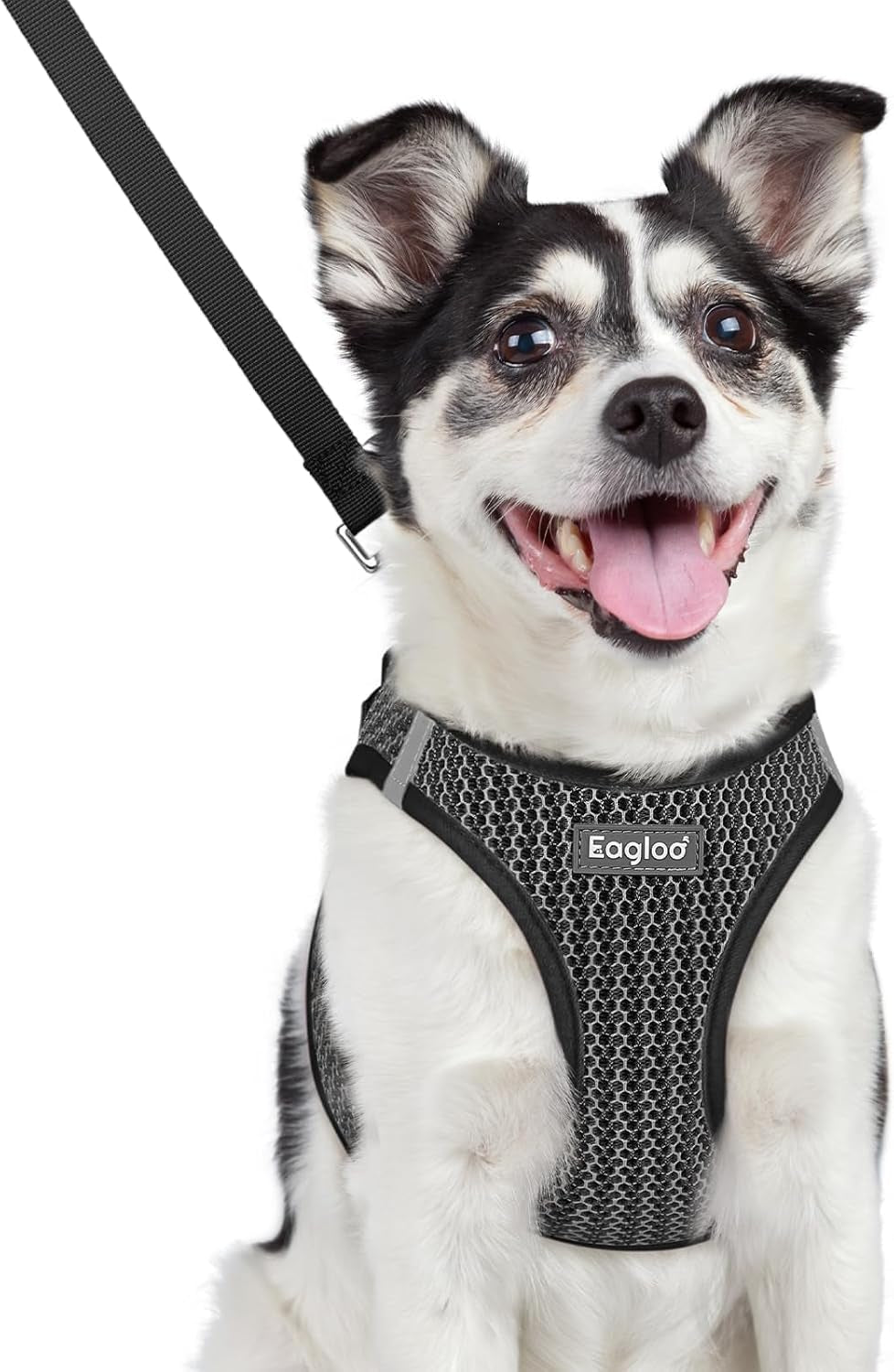 eagloo-small-dog-harness-and-leash-set-step-in-small-sized-puppy-pet-vest-light-soft-breathable-air-mesh-easy-on-and-off-with-hook-loop-reflective-for-safe-walking-pink-s