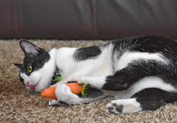 Ourpets 100-Percent North American Catnip Filled Carrot Cat Toy 24 Karat10