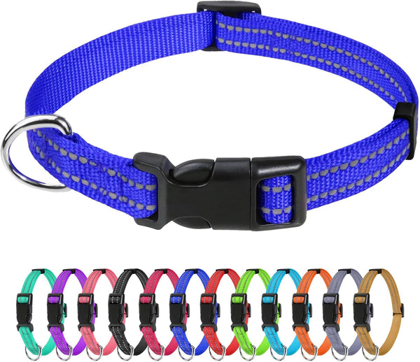 Tagme Small Dog Collar, Reflective Puppy Collar, Sky Blue, 3/8" Width | Lightweight, Nylon Collar for Puppies, Chihuahua, Yorkie & Teacup Dogs 5-15 Lbs, Reflective for Evening Walks, 12 Colors34