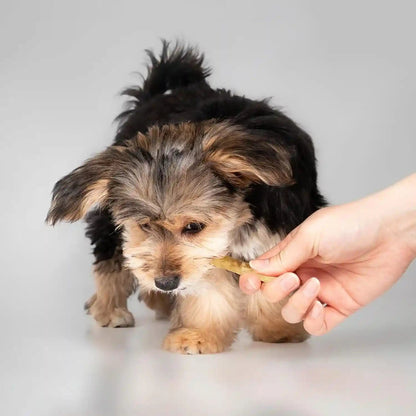 Fieldcrest Farms Nothin' to Hide Twist Stix, Beef Flavor, Easily Digestible, Supports Skin, Coat, Joints & Muscles, for Moderate Chewers under 15Lbs, 50 Pieces11