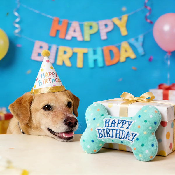 Primepets Dog Birthday Toys, Plush Dog Squeaky Toys, Stuffed Puppy Chew Toy for Small Medium Large Dogs, Bone Pet Toy6
