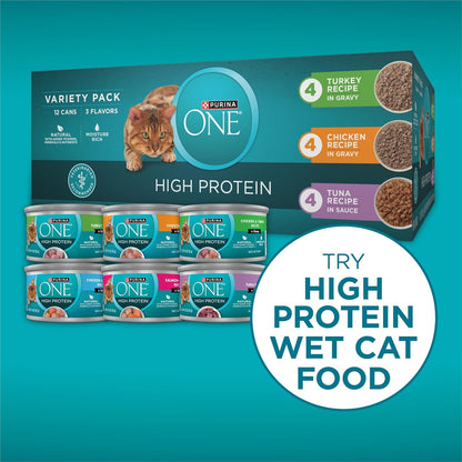 Purina ONE plus High Protein Cat Food Dry Salmon and Ocean Whitefish Cat Skin and Coat Health Formula - 7 Lb. Bag8
