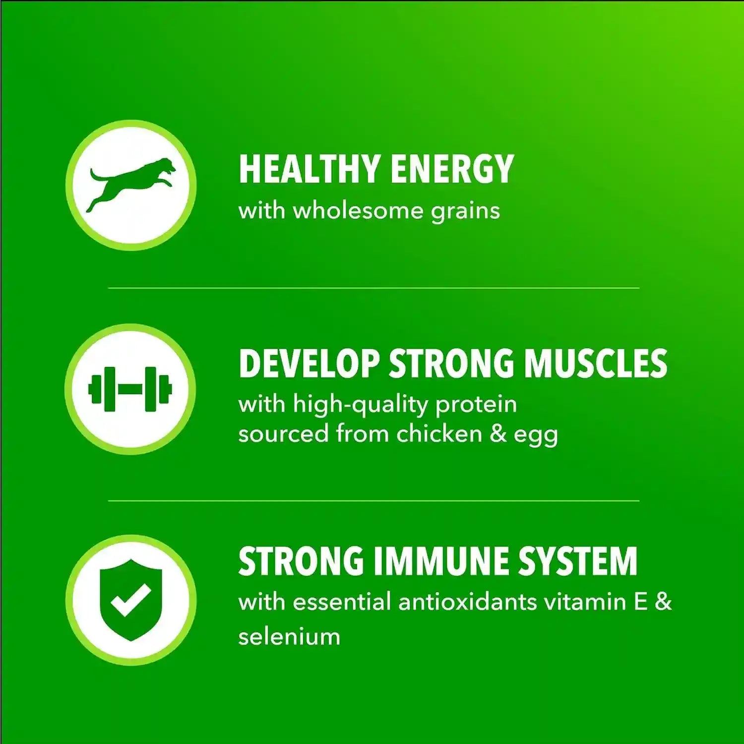 iams-proactive-health-adult-minichunks-dry-dog-food-chicken-30-lb-real-chicken-1-ingredient-no-fillers-natural-fiber-prebiotics-omega-6-fatty-acids-antioxidants-for-immune-support