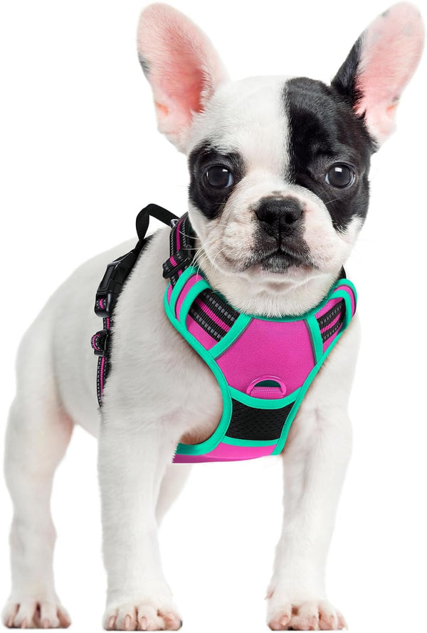 Rabbitgoo Dog Harness, No Pull for Large Dogs with 2 Leash Clips, Pet Vest | No Choke with Handle, Adjustable Soft Padded, Reflective, Easy Control for Walking, Black, Large132