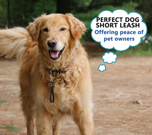 Short Dog Leash - 9 Inch Dogs Lead Grab Tab Heavy Duty Waterproof PVC Dog Training Traffic Leashes for Safety Control Behavior Correction Hiking Backup & All Breeds (Black, 9'')6
