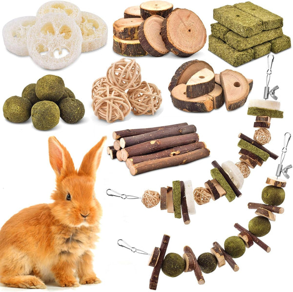 KATUMO Rabbit Chew Toys, Bunny Toys Apple Wood Grass Timothy Treat | DIY Hamster Chew Kit Bunny Teeth Care Molar Toys, Ideal for Rabbit, Guinea Pig, Chinchilla, Hamster, Squirrel, Gerbils1