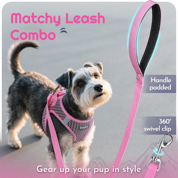 Eagloo Small Dog Harness and Leash Set, Step in Small Sized Puppy Pet Vest | Light, Soft, Breathable Air Mesh, Easy on and off with Hook & Loop, Reflective for Safe Walking, Pink, S6