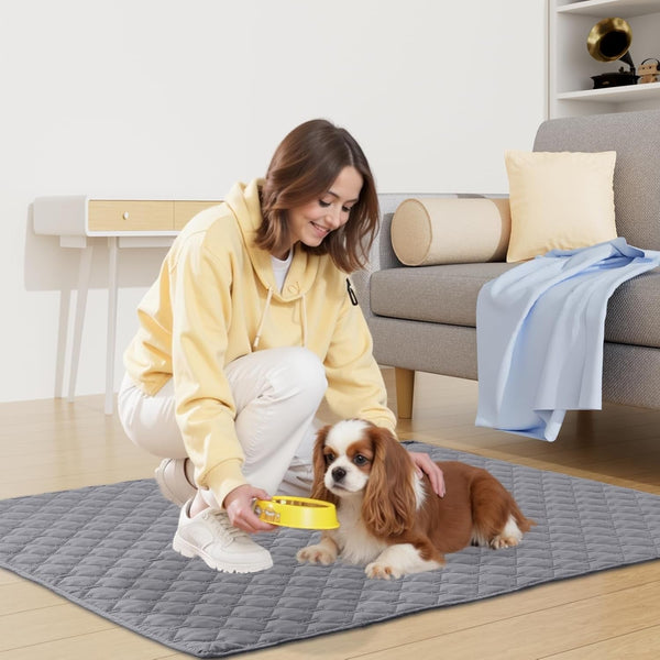 Smiry Waterproof Dog Bed Cover Blanket, Reversible Pet Blanket | Soft Reversible, Washable Leakproof Cats Dogs Couch Cover for Sofa, Couch, Furniture (30X70 Inch)5