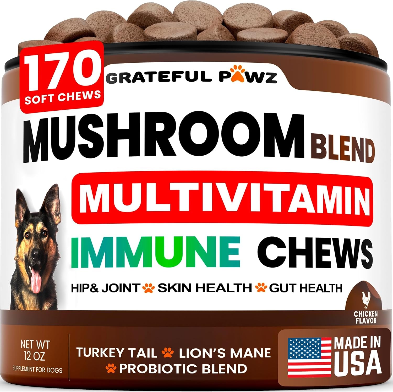 turkey-tail-mushroom-supplement-for-dogs-170-chews-mushrooms-for-dogs-reishi-lion-s-mane-glucosamine-multivitamin-immune-booster-gut-hip-joint-health-support-vitamins-energy-skin