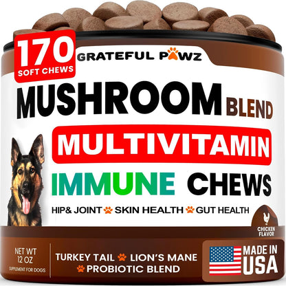 Turkey Tail Mushroom Supplement for Dogs - 170 Chews - Mushrooms for Dogs - Reishi, Lion’S Mane, Glucosamine Multivitamin - Immune Booster, Gut, Hip & Joint Health Support Vitamins, Energy & Skin1