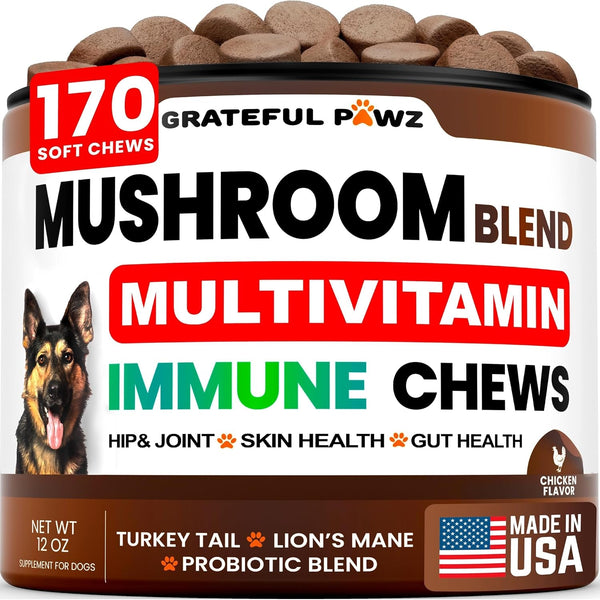 Turkey Tail Mushroom Supplement for Dogs - 170 Chews - Mushrooms for Dogs - Reishi, Lion’S Mane, Glucosamine Multivitamin - Immune Booster, Gut, Hip & Joint Health Support Vitamins, Energy & Skin1