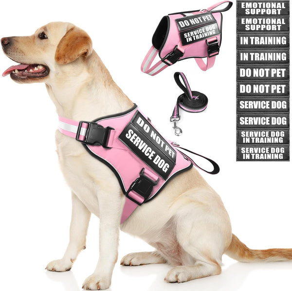 Service Dog Vest Harness and Leash Set+10 Patches,No Pull&Adjustable Reflective Dog Harness with Soft Padded Handle for Training/Everyday,Fit Small/Medium/Large/Extra-Large Dogs(Red XL) | No Pull&Adjustable Reflective Service Dog Harness Large Sized,Dog Leash with 2 Soft Padded Handles,For Training Working11