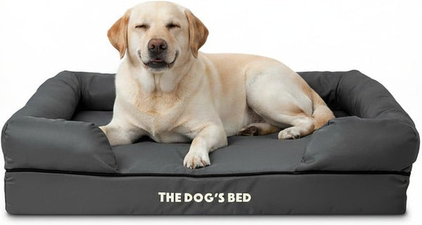 The Dog’S Bed Orthopedic Memory Foam Dog Bed with Bolsters for Large Dogs, High Density Support Mattress, Low Front Entry, Removable Washable Cover, Oxford Fabric, Blue with Dark Red Trim, Large11