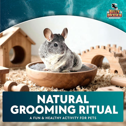 3 LB. Chinchilla Dust Bath Jar - Pure Cleansing Pumice Sand Dust for Cleaning Small Pets like Gerbils, Mice, Degu - Premium, All Natural Dusting Powder - Chinchilla Accessories by Billy Buckskin7