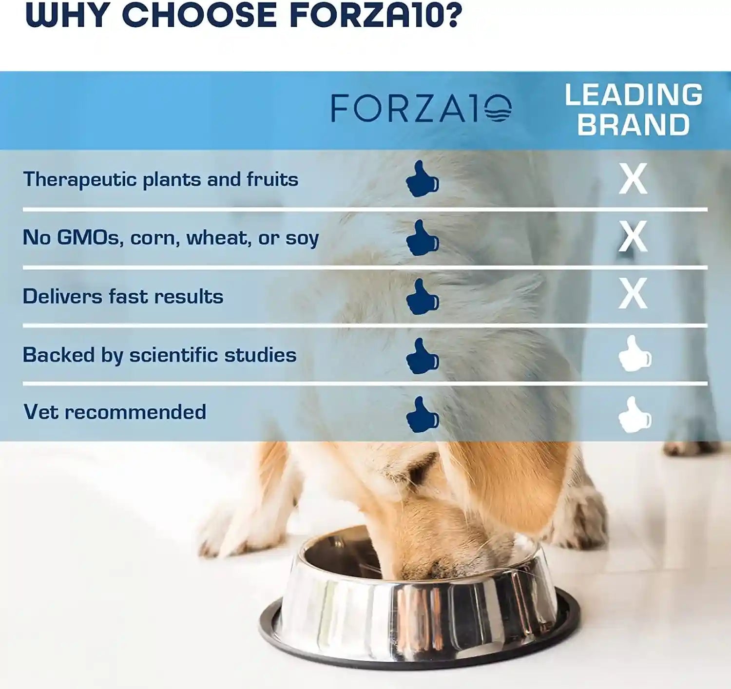 forza10-renal-wet-dog-food-for-adult-dogs-3-5-oz-12-pack-lamb-flavor-actiwet-renal-support-vet-formulated-with-cranberries-dried-dandelion-and-dried-clover-non-gmo-made-in-italy