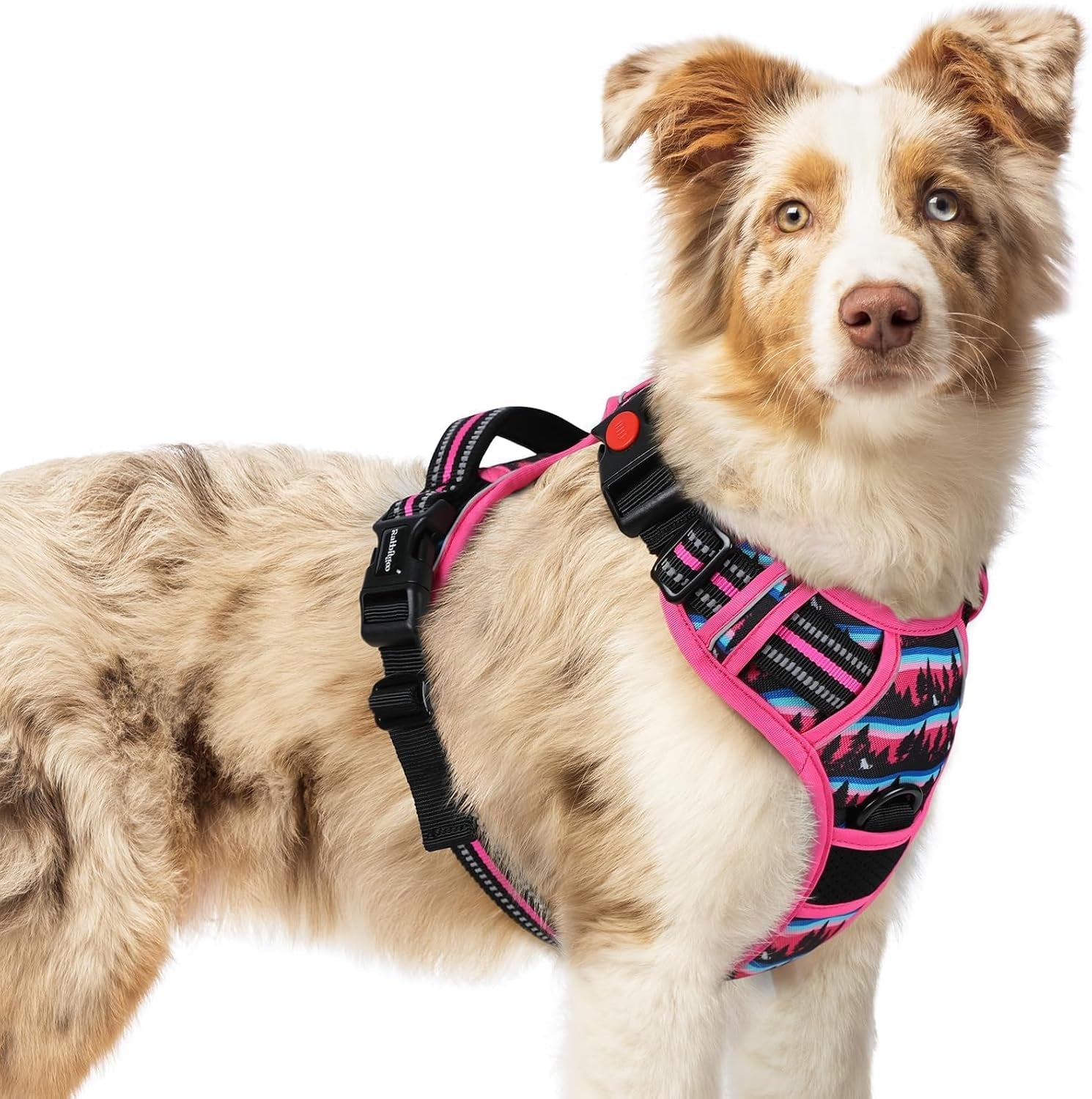 rabbitgoo-dog-harness-medium-sized-updated-easy-on-off-with-3-buckles-no-pull-no-choke-walking-with-2-clips-and-handle-adjustable-soft-reflective-blue-medium