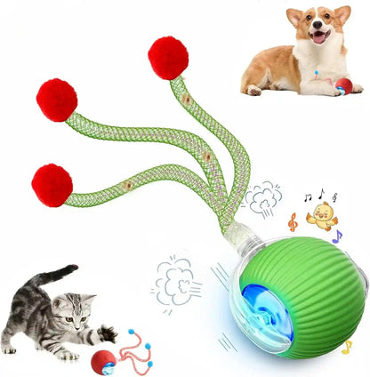 2 Packs Speed 2.0 Tail Interactive Cat Toys for Indoor Cats, Chirping & Motion Activate Cat Toy, Smart Kitten Rolling Ball Moving Ball Toys, Rechargeable Dog Cats Bal L for Enrichment Exercise19