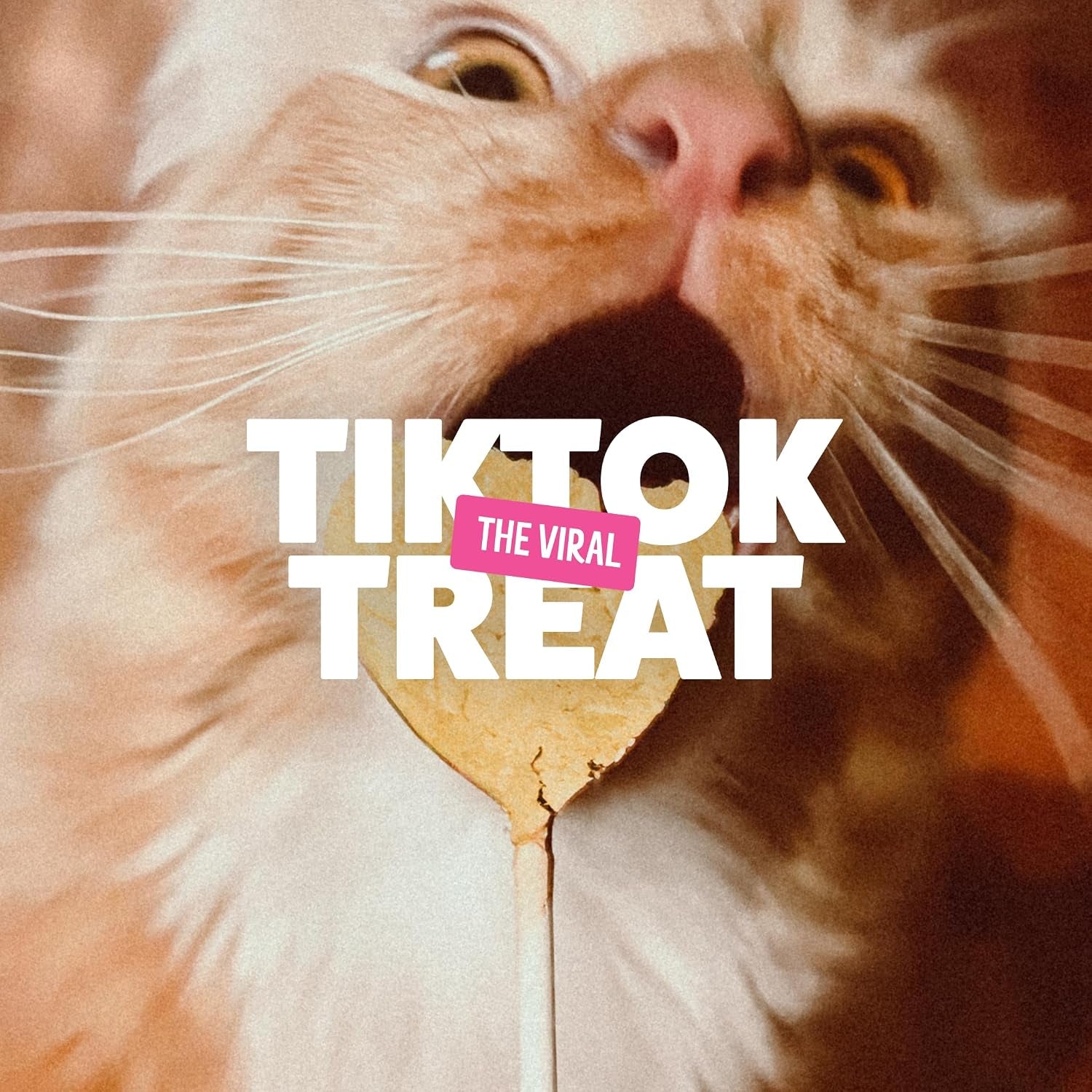 bonkers-purrpops-freeze-dried-catnip-flavored-lollipop-cat-treats-4-pieces-pack-of-13