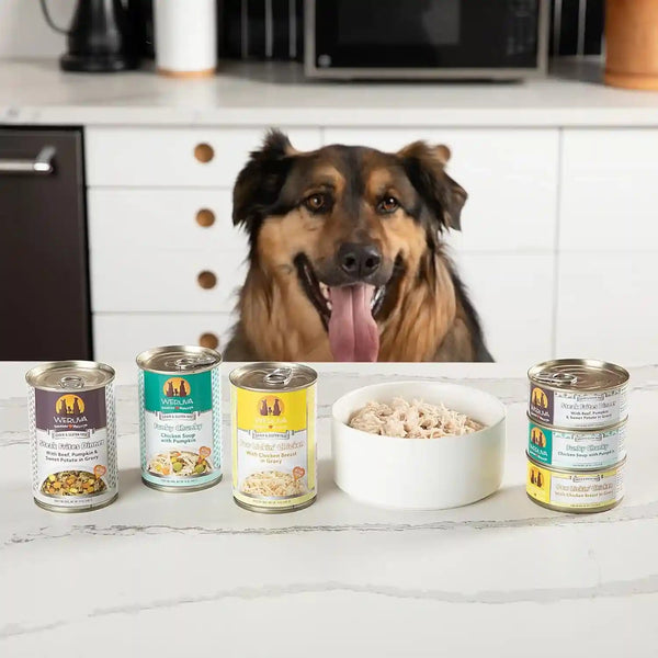 Weruva Classic Dog Food, Variety Pack, Baron'S Batch, Wet Dog Food, 14Oz Cans (Pack of 12)8