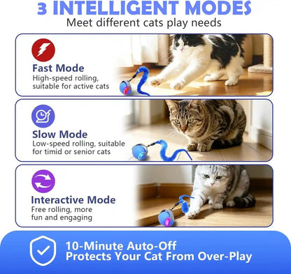 Automatic Interactive Cat Ball Toy for Indoor Cats, Electric Moving Rolling Cat Teaser Ball with Replaceable Feather, Stimulating Puzzle Enrichment Exercise for Kitten Adult Cats, Cat Birthday Gift3