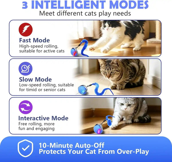 Automatic Interactive Cat Ball Toy for Indoor Cats, Electric Moving Rolling Cat Teaser Ball with Replaceable Feather, Stimulating Puzzle Enrichment Exercise for Kitten Adult Cats, Cat Birthday Gift3