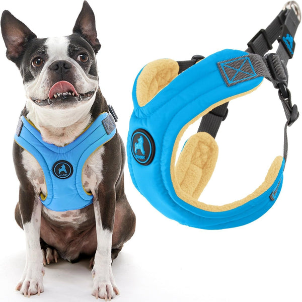 Gooby Escape Free Memory Foam Harness - Green, Large - No Pull Step-In Small Dog Harness with Four Point Adjustment - Perfect on the Go Dog Harness for Medium Dogs No Pull and Small Dogs12