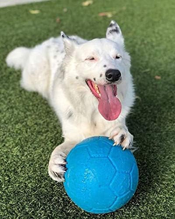 Jolly Pets Large Soccer Ball Floating-Bouncing Dog Toy, 8 Inch Diameter, Ocean Blue | Large 8 Inch Durable Dog Soccer Ball for Dogs 60 to 90 Lbs, Won'T Deflate When Punctured, Floats for Water Play, Made in USA5