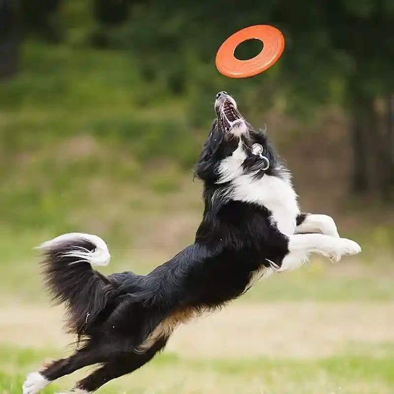 nerf-dog-atomic-flyer-outdoor-dog-toy-10-inch-flying-disc-dog-fetch-toy-rubber-dog-toy-for-medium-dogs-and-large-dogs-orange