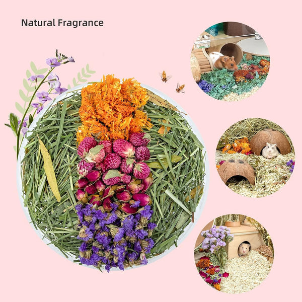 Niteangel Natural & Soft Hamster Bedding Mate: Air-Dried Flowers & No-Add | Fun to Cage Habitat & Adds Vibrant Color - Decor for Syrian Dwarf Hamster Gerbils Mice Degus or Other Small-Sized Pet4