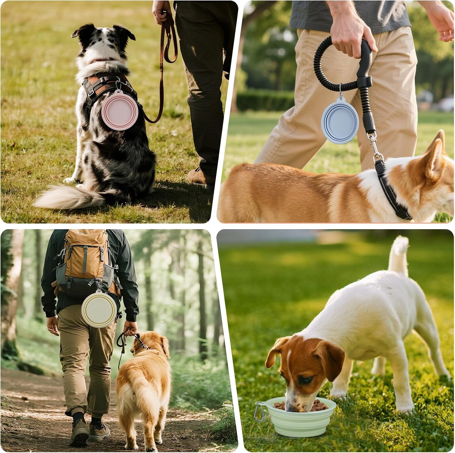 2-pack-portable-pet-bowls-12oz-collapsible-dog-cat-water-bowl-with-hook-bpa-free-leak-proof-foldable-food-dish-for-small-medium-pets-travel-camping-daily-indoor-outdoor-essentials