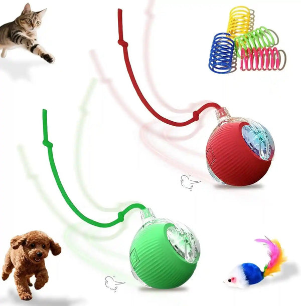 2-Pack USB Rechargeable Smart Cat Toy Ball, 360° Rotation Automatic Moving Chase Toy, Obstacle Avoidance Interactive Play with 4 Spiral Springs, Enrichment Toys for Indoor Cats, Puppies & Small Dogs1