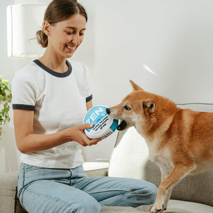 Nestpark Zen Pupper Deckies Parody Dog Toy - Plush Squeaky and Crinkle Funny Dog Toy - Drool Mint7