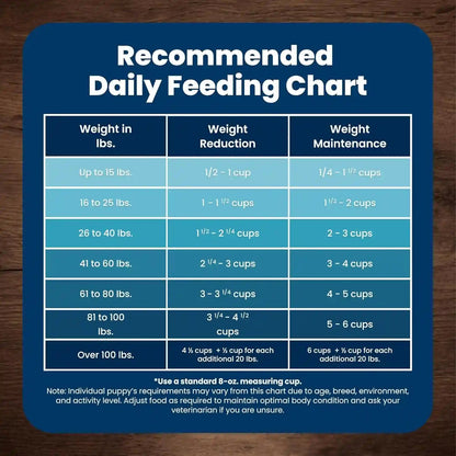 Blue Buffalo Life Protection Formula Small Bite Chicken Dry Dog Food, 15 Lb | Smaller Kibble for Easier Chewing, Real Chicken #1 Ingredient, Supports Immunity with Antioxidant-Rich Lifesource Bits9
