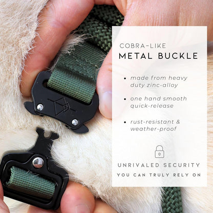 MADE to ROAM Control Dog Collar | Leather Handle & Heavy Duty Metal Buckle | Premium Adjustable Collar with Vegan Leather Handle. Fits Medium to Large Dogs. 15 Colors. Matching Leash & Harness4