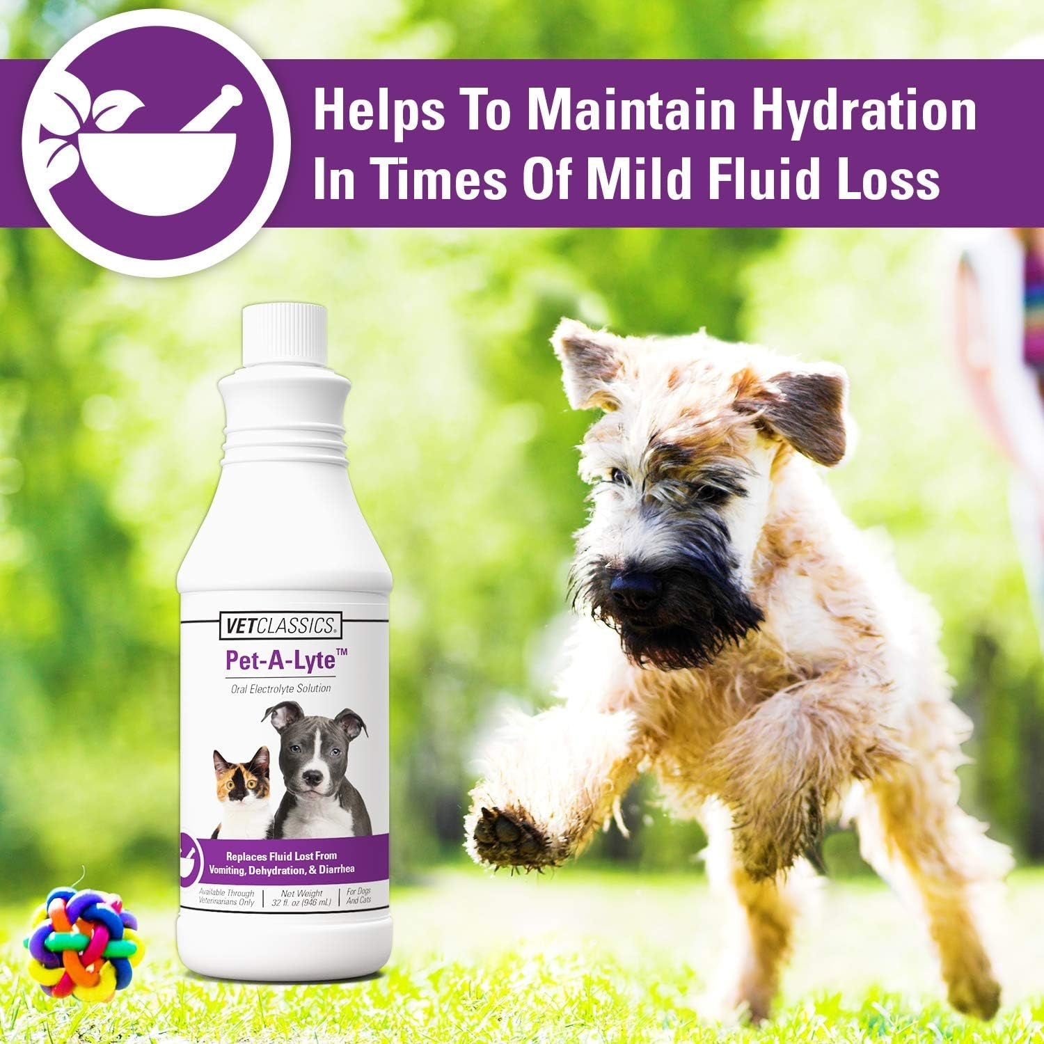 pet-a-lyte-oral-electrolyte-solution-for-dogs-and-cats-helps-replace-fluids-lost-from-pet-dehydration-diarrhea-vomiting-replaces-dog-electrolytes-32-oz
