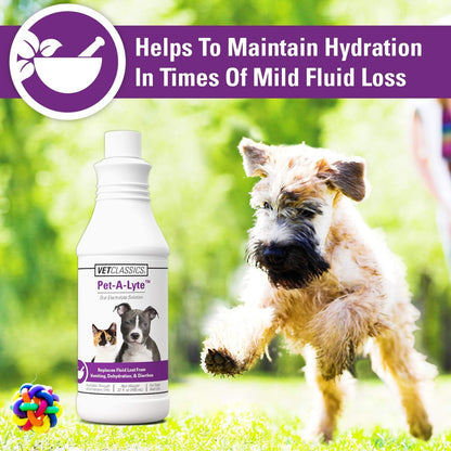 Pet-A-Lyte Oral Electrolyte Solution for Dogs and Cats – Helps Replace Fluids Lost from Pet Dehydration, Diarrhea, Vomiting – Replaces Dog Electrolytes – 32 Oz.3