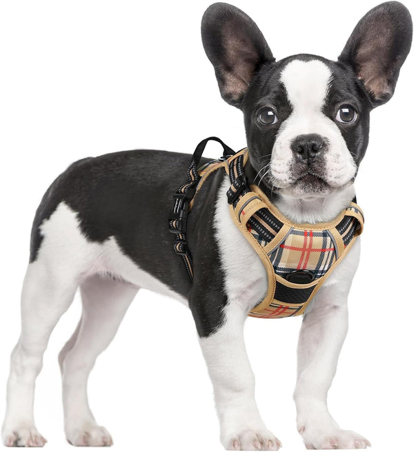 Rabbitgoo Dog Harness, No Pull for Large Dogs with 2 Leash Clips, Pet Vest | No Choke with Handle, Adjustable Soft Padded, Reflective, Easy Control for Walking, Black, Large125