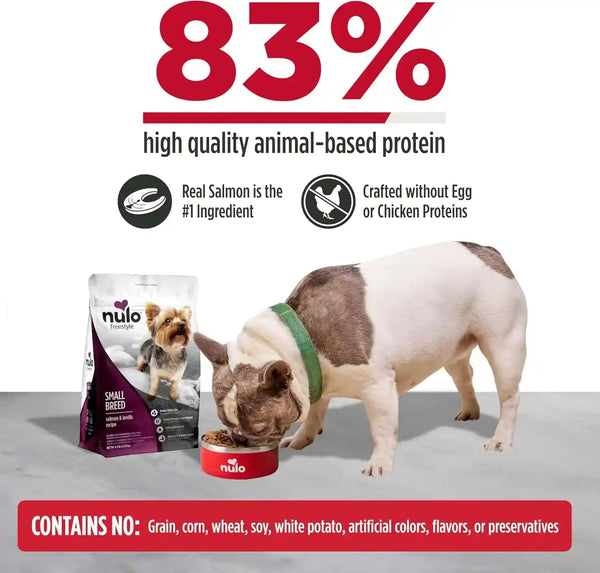 Nulo Freestyle Small Breed Dog Food Dry - Salmon & Lentils, Puppy & Adult Grain Free Dog Food, Natural, High Protein, Smaller Sized Kibble with BC30 Probiotic for Healthy Digestion Support, 6Lb Bag3