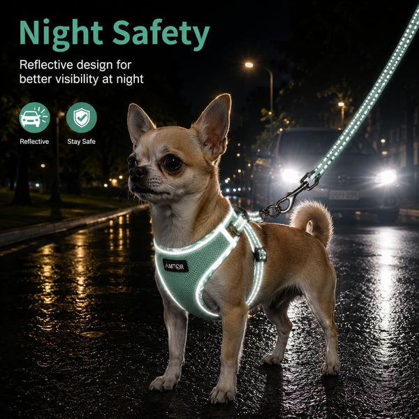 AMTOR Small Dog Harness with Leash Set, No Escape Easy Walk Puppy Harnesses for Training Walking, Step-In Reflective Soft Dogs Vest for XS S Medium Extra-Small Large Sized Dog(Green,S)4