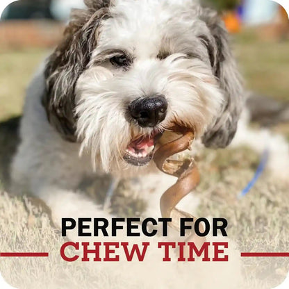Redbarn Premium Bully Sticks for Dogs - 7 Inch, 6 Count - Long Lasting, Rawhide-Free, Slow Roasted, Low Odor & Highly Digestible, Single Ingredient Chews & All-Natural Dental Treats for Chewers7