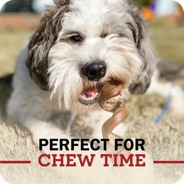 Redbarn Premium Bully Sticks for Dogs - 7 Inch, 6 Count - Long Lasting, Rawhide-Free, Slow Roasted, Low Odor & Highly Digestible, Single Ingredient Chews & All-Natural Dental Treats for Chewers7