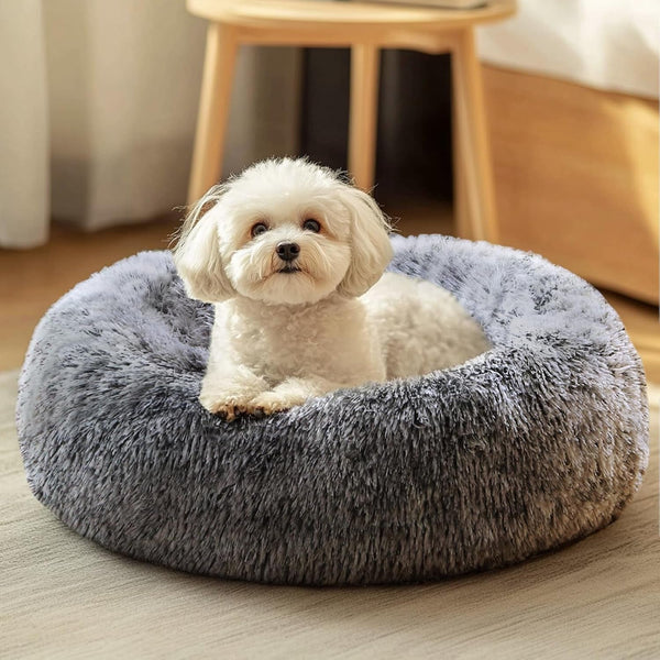 JOLLYVOGUE Small Dog Bed, Calming Soft Anti-Anxiety Donut Cat Bed, Washable round Fluffy Cushion for Small and Medium Pets (20")34
