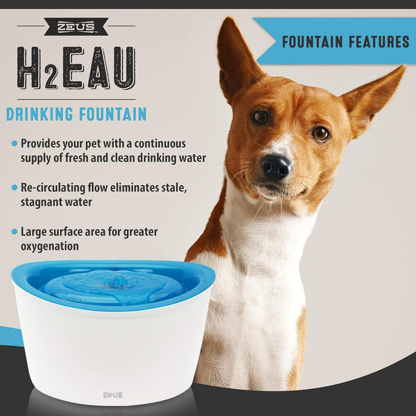 Zeus Fresh & Clear Elevated Dog and Cat Water Dispenser, Large Drinking Water Fountain with Purifying Filter, 6L Capacity, 1 Count (Pack of 1) | Large Drinking Water Fountain with Purifying Filte2