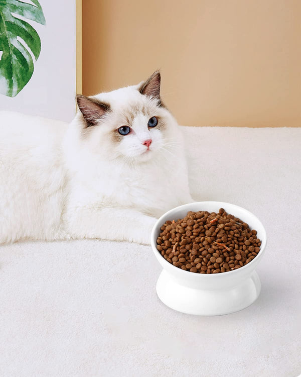 Loejan Elevated Cat Food Bowl, 5 Oz Ceramic Raised and Tilted Water Bowl, anti Vomiting and Protect Pets' Spines Dishes for Small Dog, Fat Faced Cat, Kitten (White, 1 Pack)7