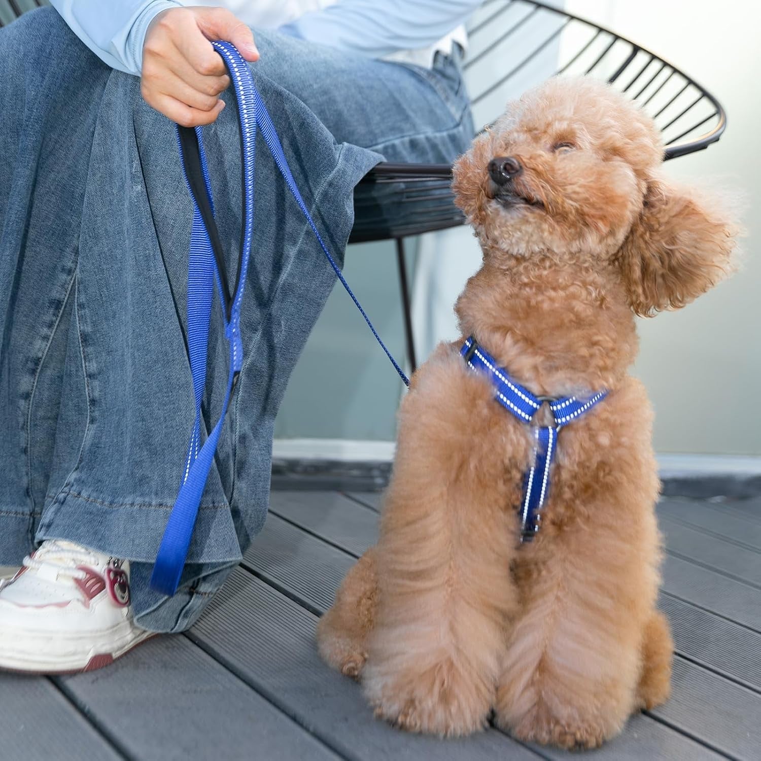 excellent-elite-spanker-no-pull-dog-harness-reflective-nylon-vest-l-shaped-adjustable-easy-pet-harness-for-small-medium-large-breeds-dogs-walking-training-black-redpink-m